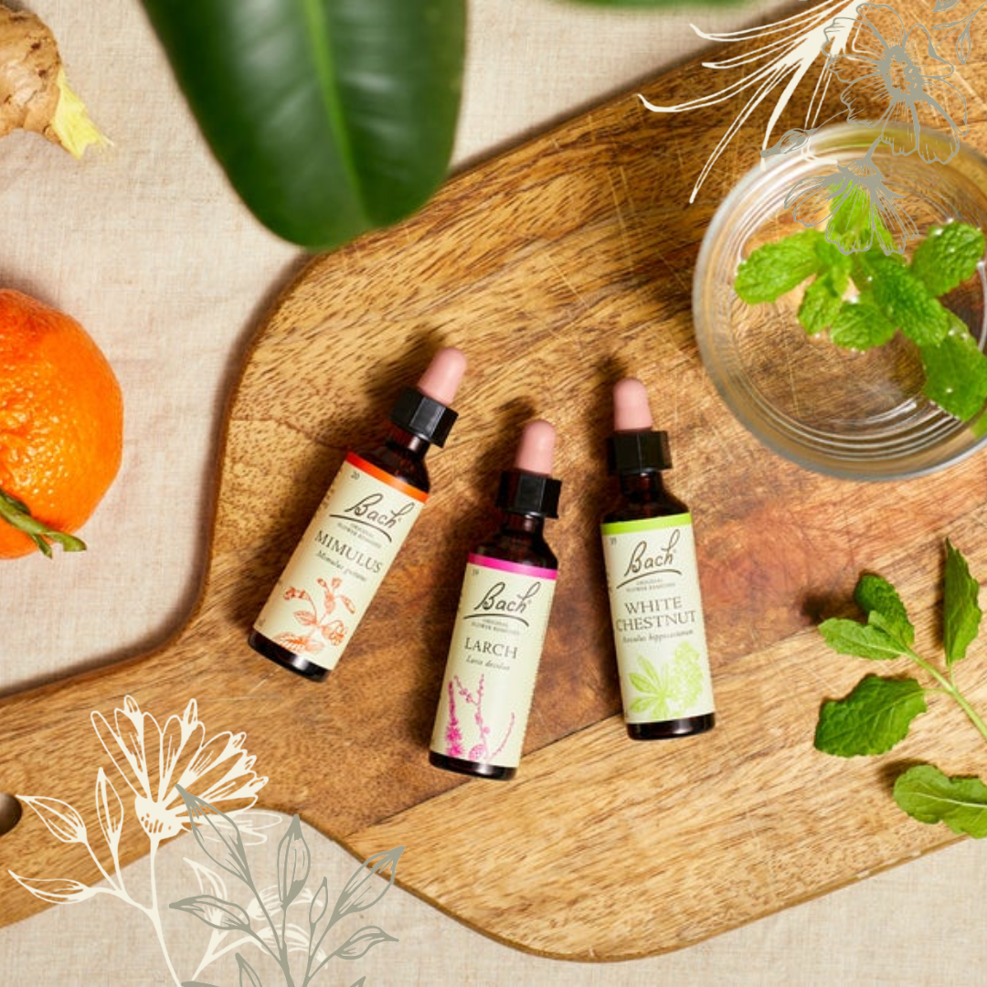 Wat zijn Bach Bloesems en hoe werken ze?