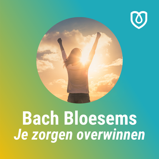 Bach - Je zorgen overwinnen